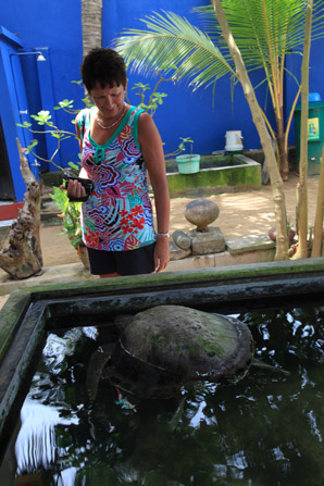 Gina bekijkt een bassin met schildpadden